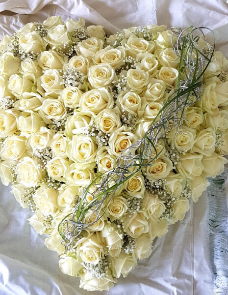 Cuore di 100 rose BIANCHE