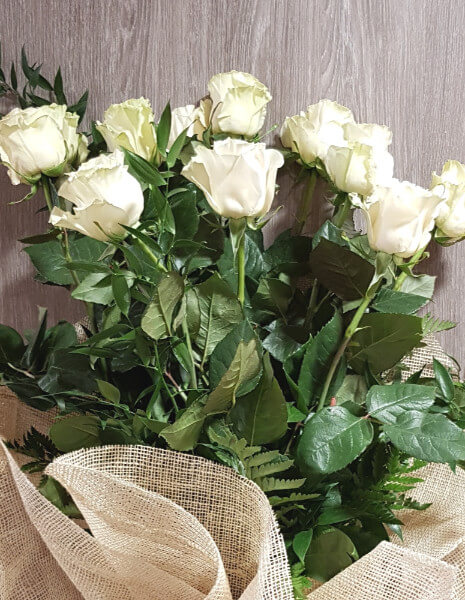 Rose bianche a steli, prima scelta, lunghezza 60 cm.