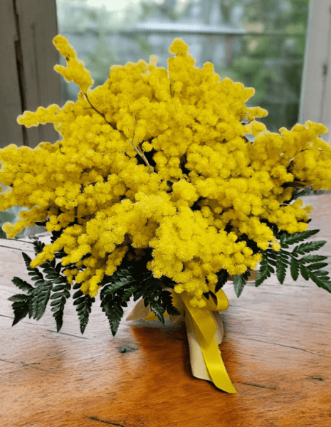 Bouquet di mimosa - PICCOLO