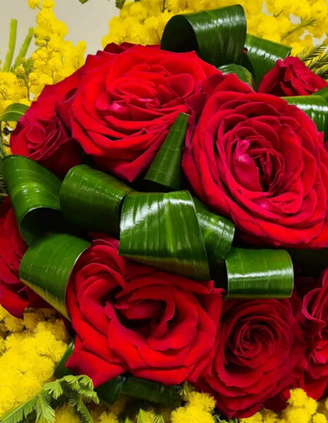 Bouquet rose rosse e mimosa compatto