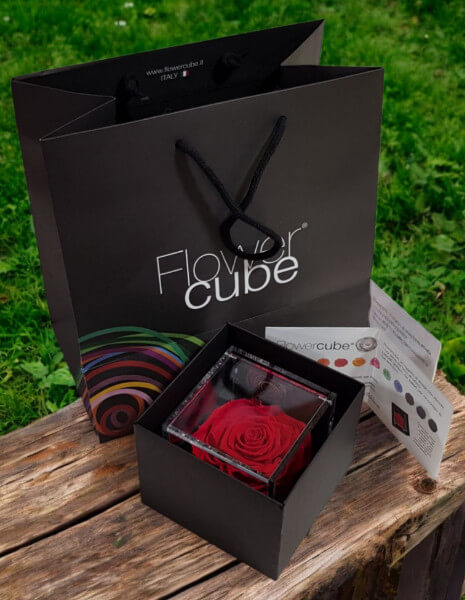 Flowercube Rossa cubo 6x6 cm.