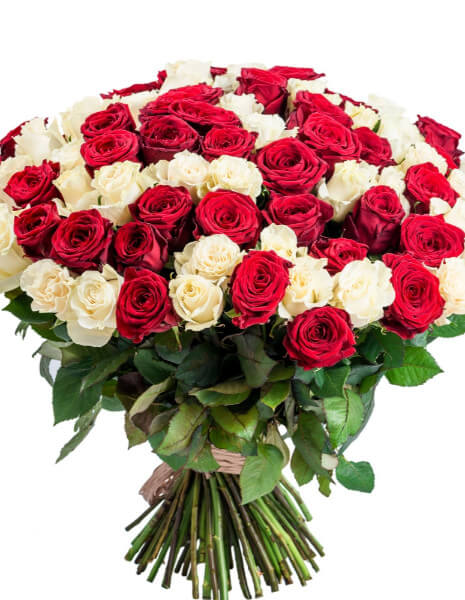 100 Rose rosse e bianche in mazzo