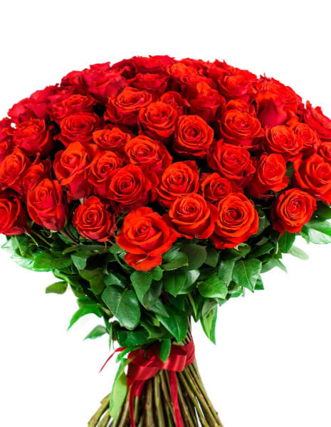 100 Rose rosse extra in mazzo