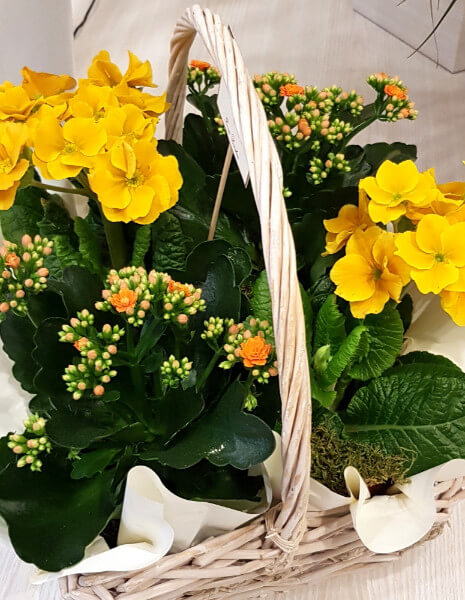 Cesto piante fiorite di stagione - PICCOLO