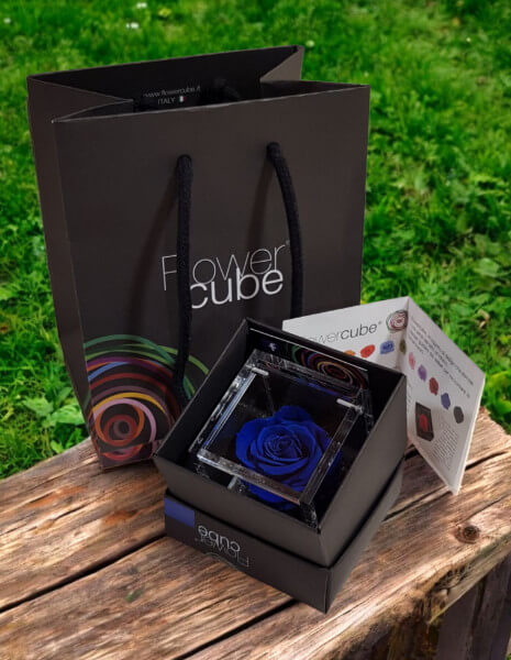 Flowercube Blu cubo 6x6 cm.