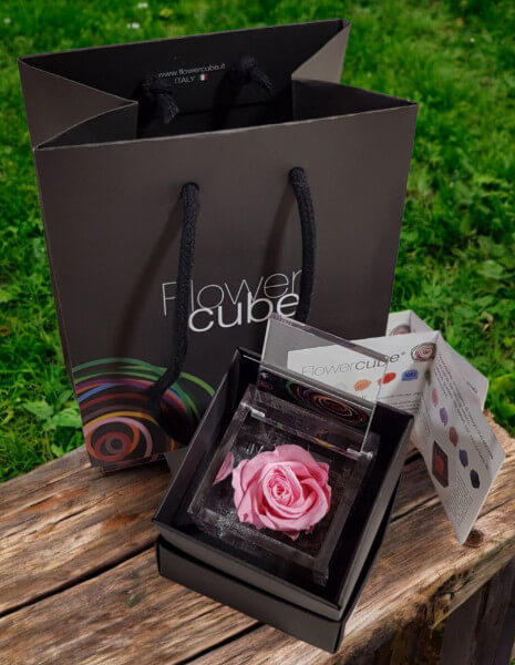 Flowercube Rosa cubo 8x8 cm.