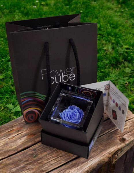 Flowercube - Rosa Stabilizzata AZZURRO