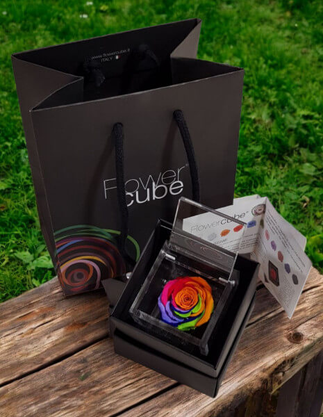 Flowercube Arcobaleno cubo 6x6 cm.