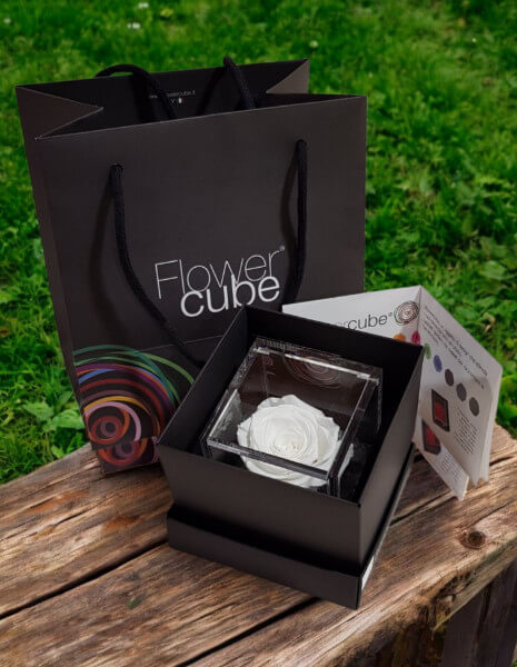 Flowercube Bianco cubo 6x6 cm.