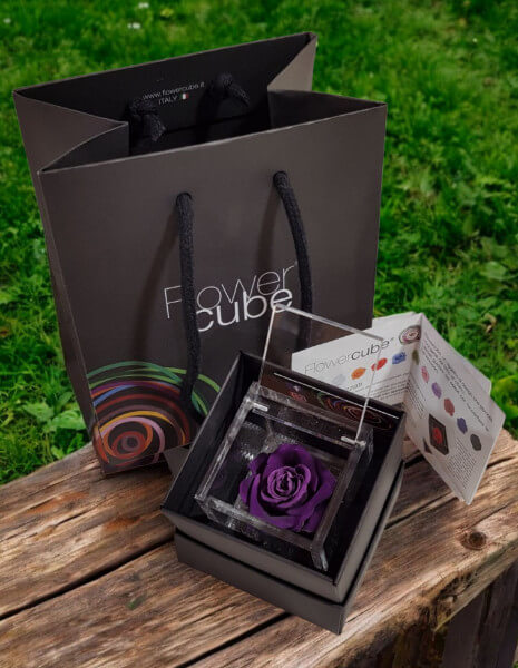 Flowercube Viola cubo 6x6 cm.