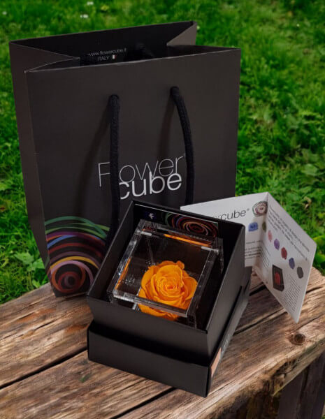 Flowercube Arancione cubo 6x6 cm.