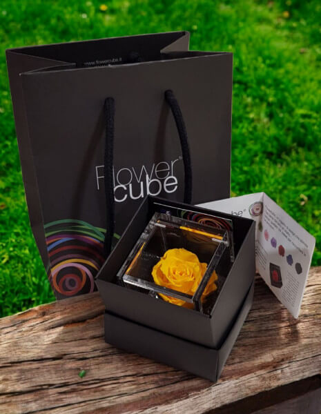 Flowercube Giallo cubo 6x6 cm.