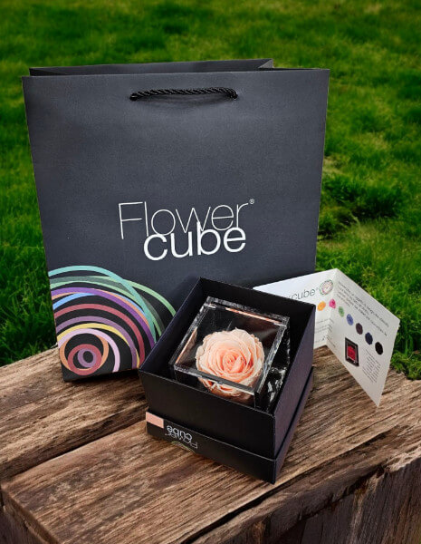 Flowercube Pesca cubo 6x6 cm.