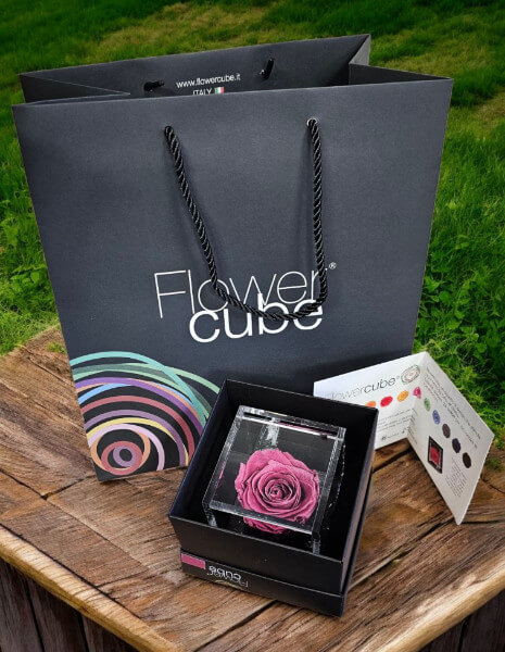 Flowercube Mirtillo cubo 6x6 cm.